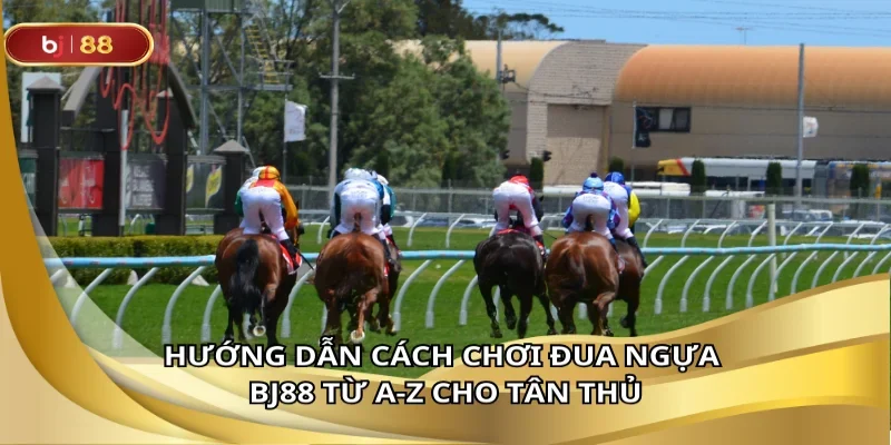 Cách đặt cược chuẩn chỉnh chỉ trong vài phút