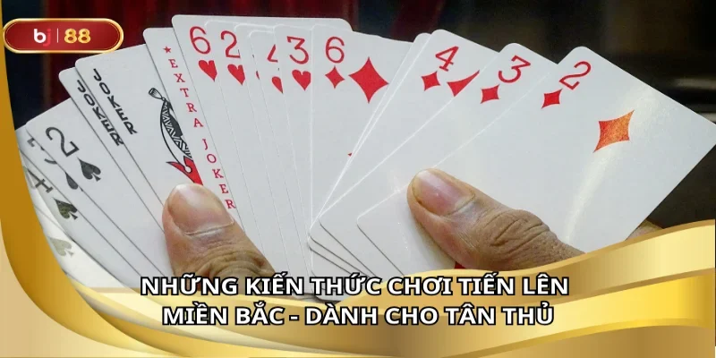 Những kiến thức chơi tiến lên miền Bắc - Dành cho tân thủ