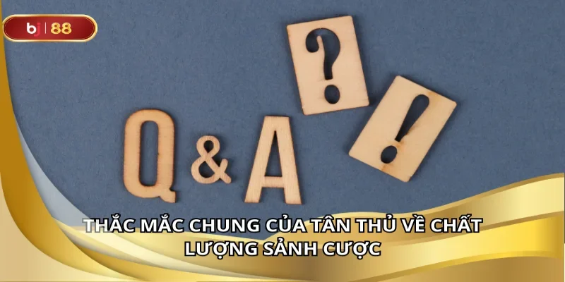 Những thắc mắc của tân thủ về chất lượng sảnh cược