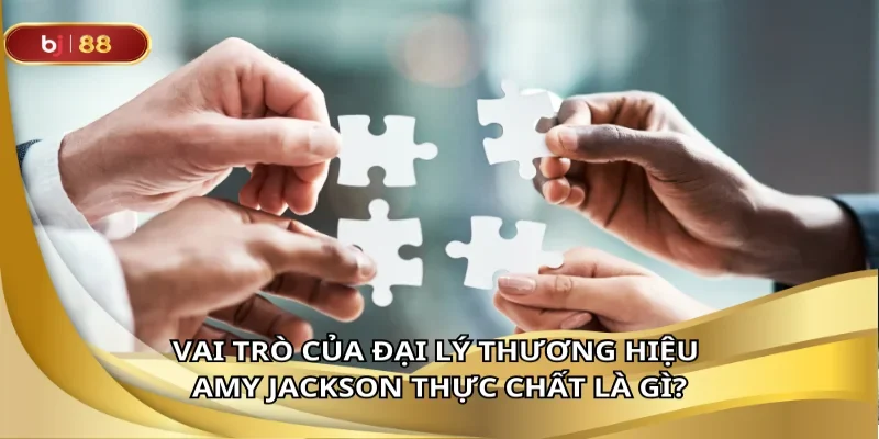 Vai trò của đại lý thương hiệu Amy Jackson
